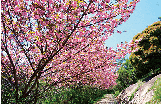 鹿島扇平自然公園