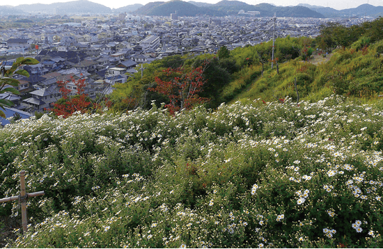 日笠山