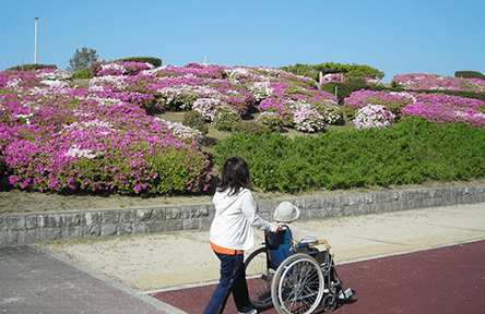 定期的なお散歩